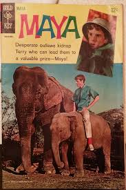 Maya TV
