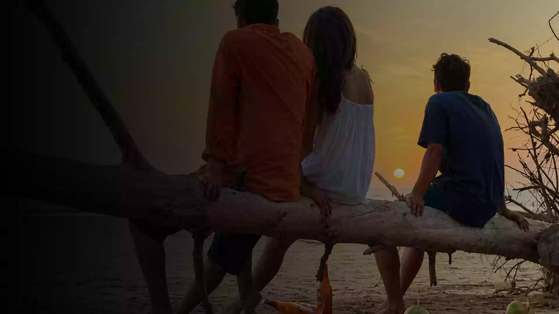 The Story Background